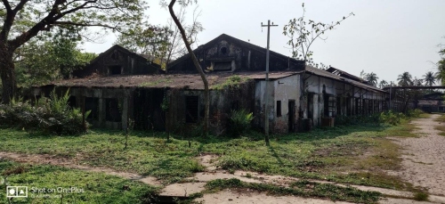 Remains of Dada Match Factory, August 2022