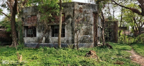 Remains of Dada Match Factory, August 2022