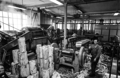 Production of veneer, Terza Match factory 1974