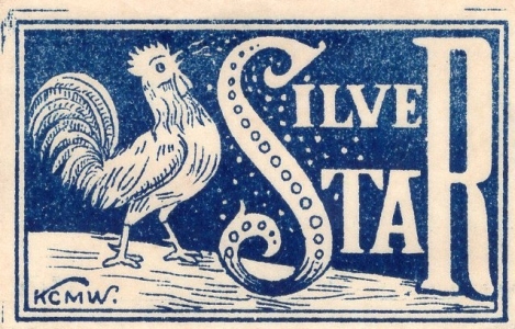 Silver Star, 55 x 36 mm