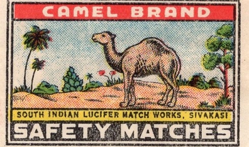 Camel brand, 55 x 36 mm