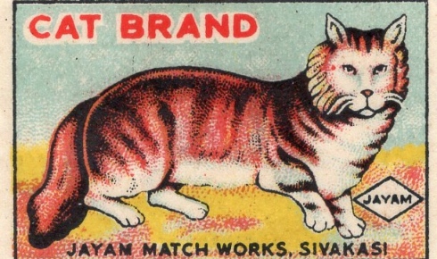 Cat brand, 53 x 35 mm