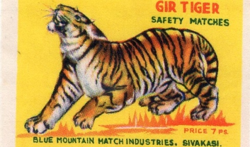 Tiger brand, 55 x 35 mm